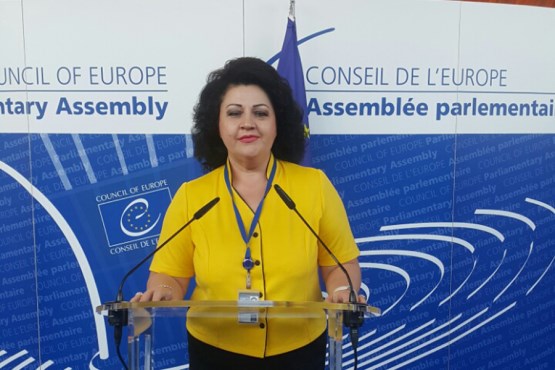 Članica Izaslanstva PSBiH u PSVE Milica Marković izabrana za predsjedateljicu političke skupine „Slobodni demokrati“